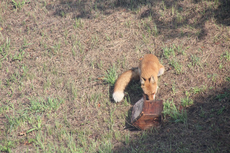 ファイル 91-3.jpg