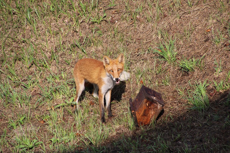 ファイル 91-4.jpg