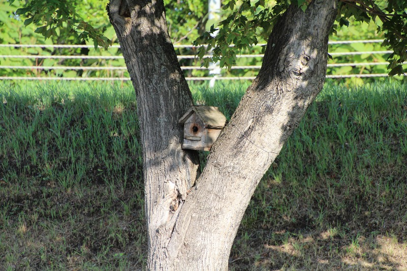 ファイル 91-5.jpg