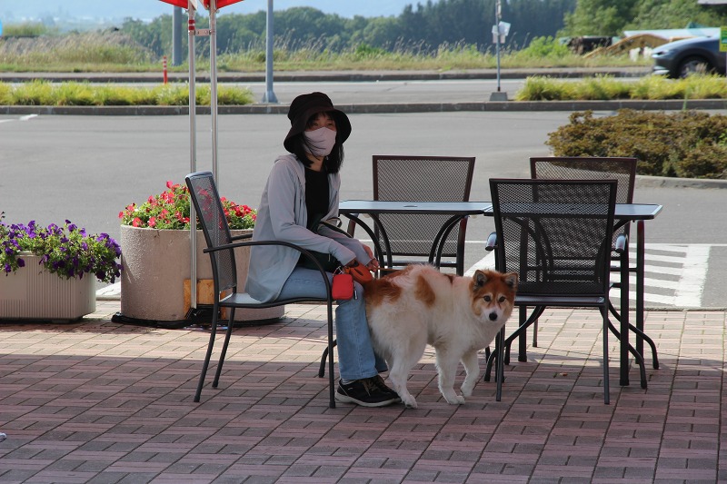 ファイル 92-2.jpg