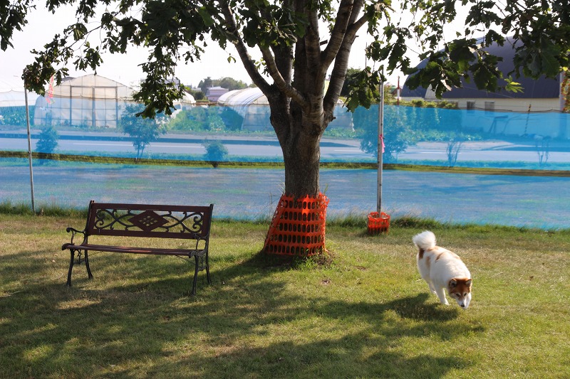 ファイル 92-4.jpg