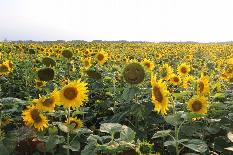 ファイル 92-6.jpg