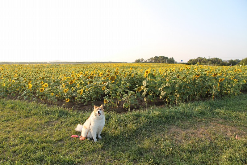 ファイル 92-7.jpg