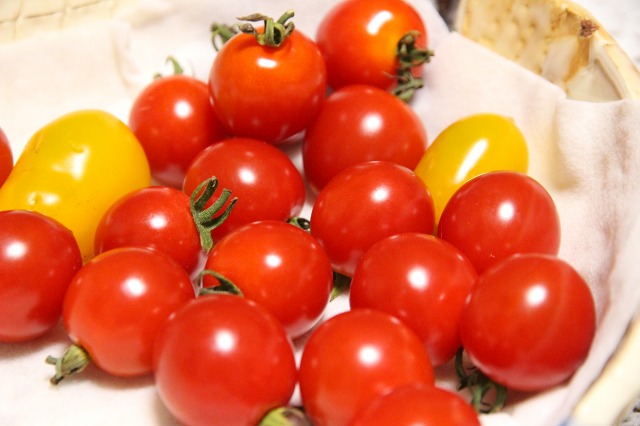 ファイル 92-8.jpg