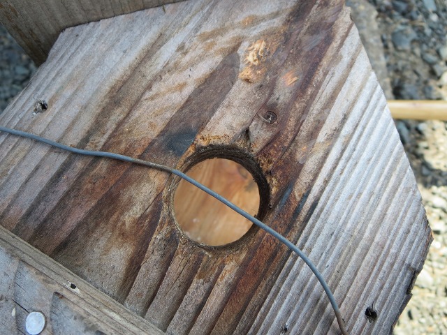 ファイル 95-1.jpg