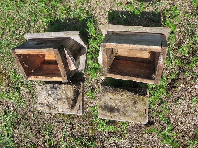 ファイル 95-2.jpg