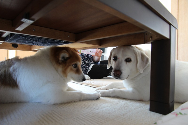 ファイル 96-1.jpg