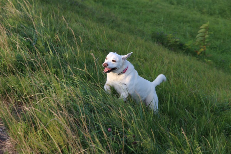 ファイル 96-2.jpg