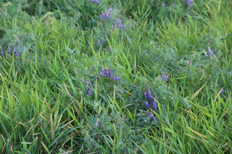 ファイル 96-3.jpg