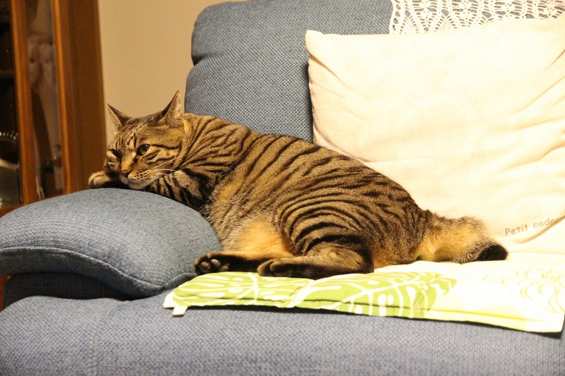 ファイル 96-9.jpg