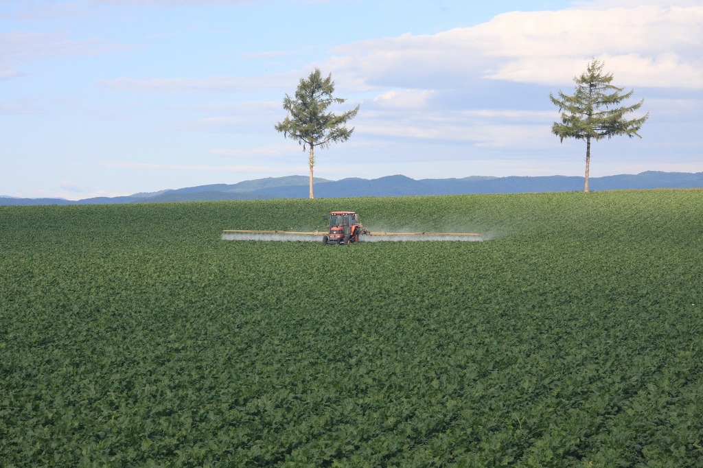 ファイル 98-2.jpg