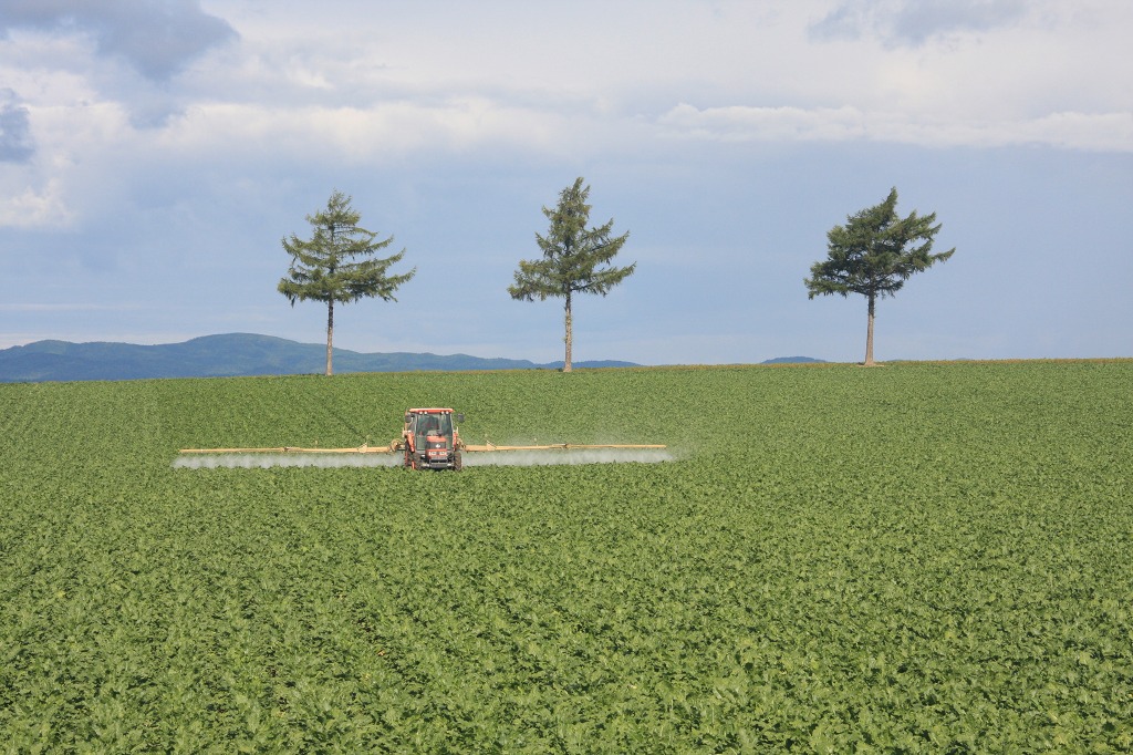 ファイル 98-3.jpg