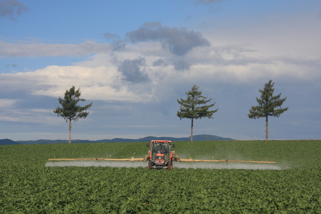 ファイル 98-4.jpg