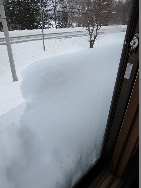 ファイル 10-2.jpg