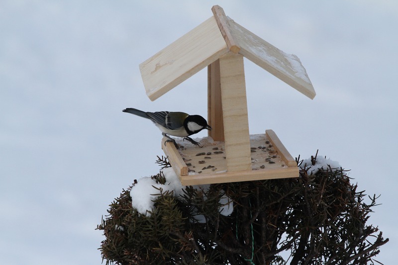 ファイル 11-2.jpg