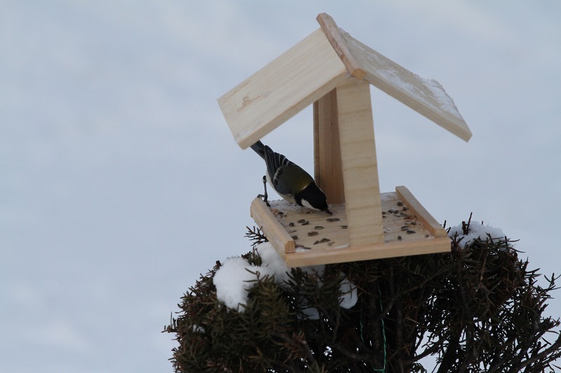 ファイル 11-4.jpg