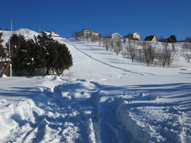 ファイル 12-6.jpg