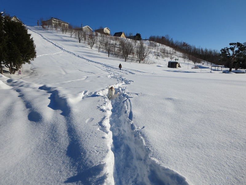 ファイル 12-7.jpg