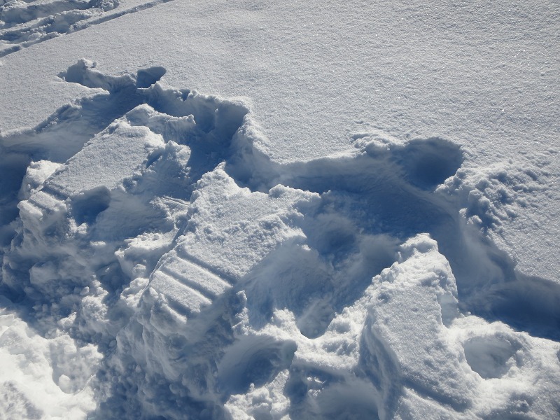 ファイル 12-8.jpg