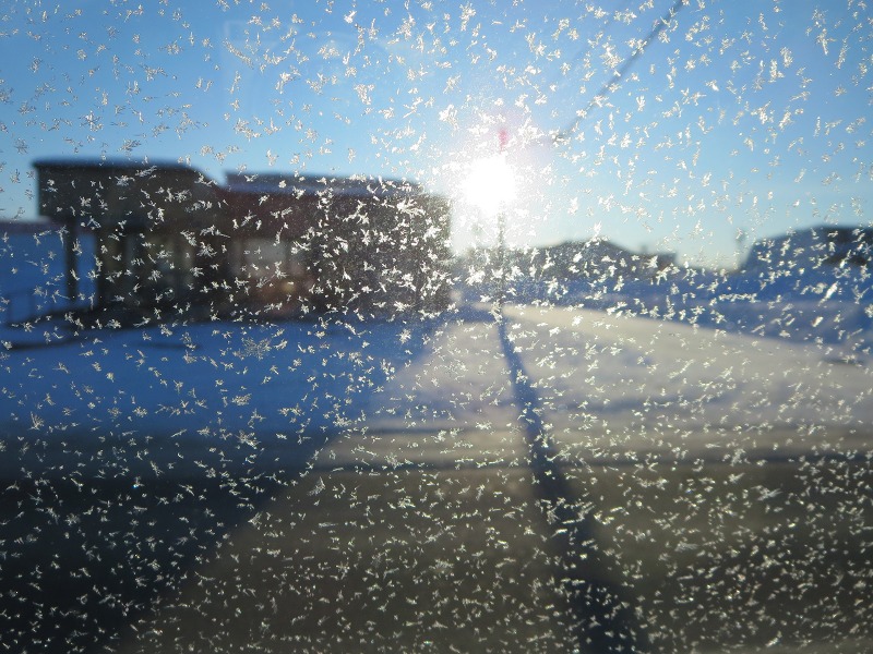 ファイル 15-2.jpg