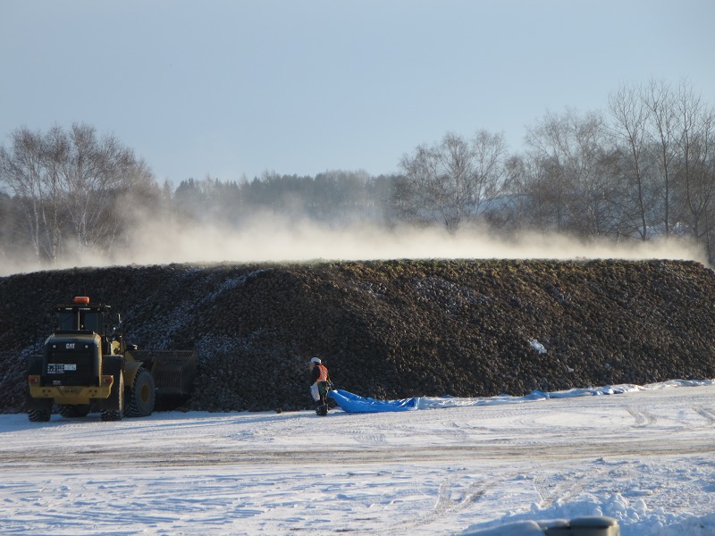 ファイル 16-2.jpg