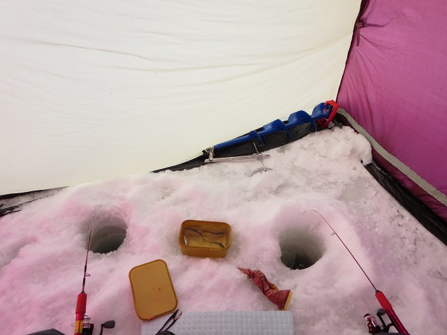 ファイル 17-1.jpg