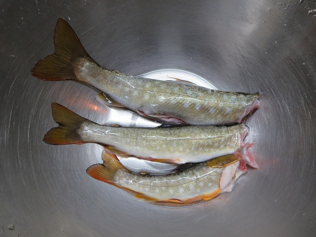 ファイル 17-6.jpg