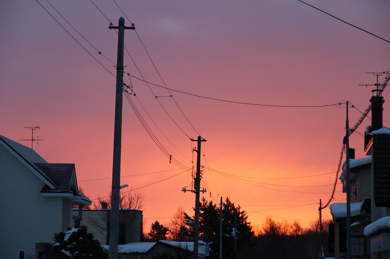 ファイル 18-1.jpg