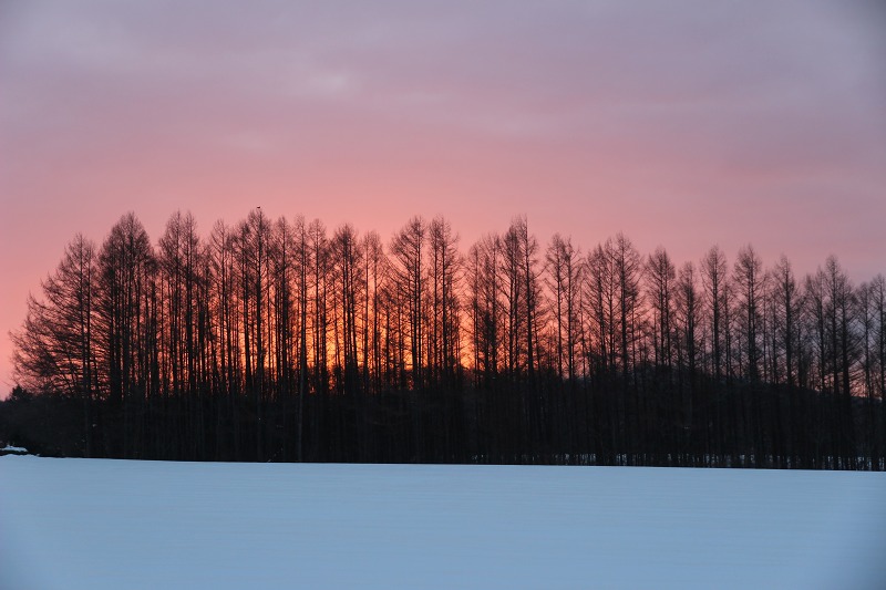 ファイル 18-2.jpg