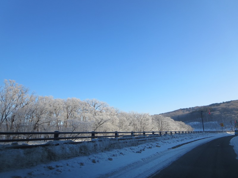 ファイル 19-1.jpg