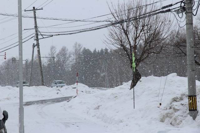 ファイル 21-1.jpg