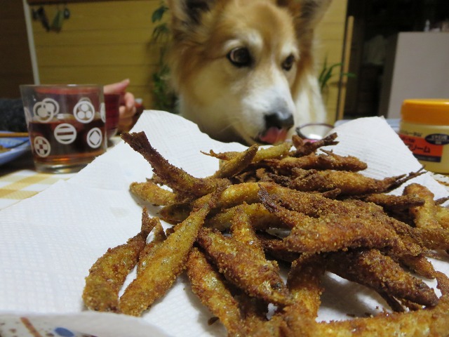 ファイル 21-4.jpg