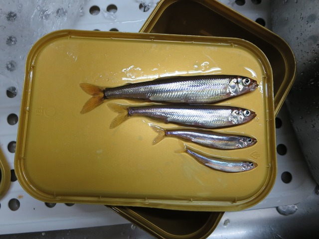 ファイル 21-5.jpg