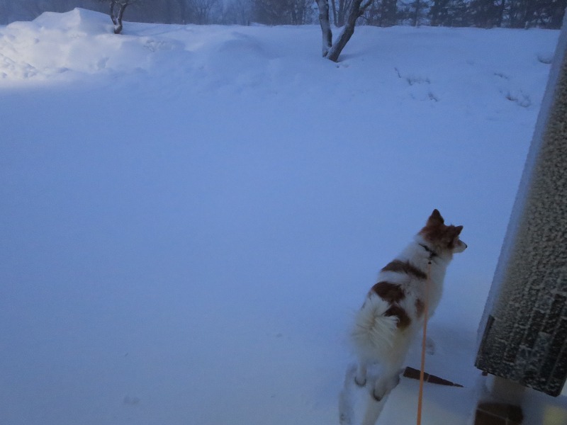 ファイル 22-1.jpg