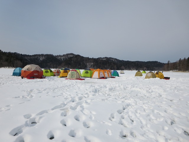 ファイル 24-1.jpg