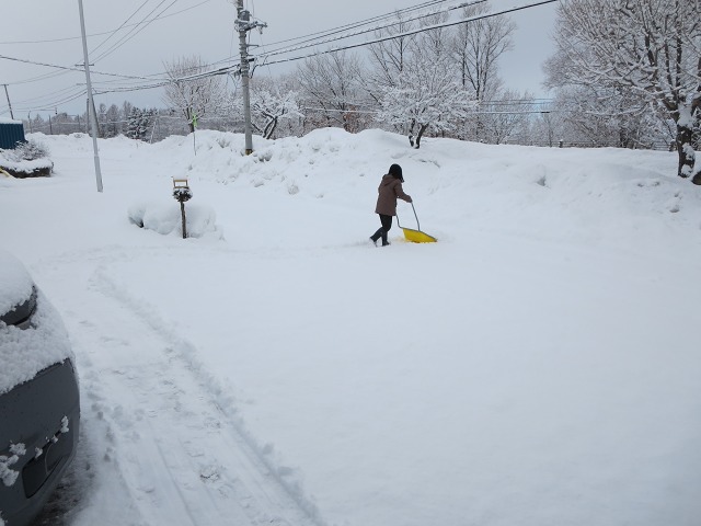 ファイル 25-3.jpg