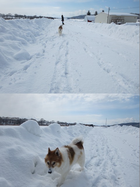 ファイル 25-6.jpg