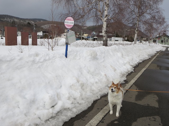 ファイル 26-4.jpg