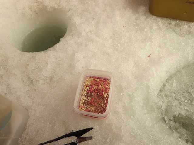 ファイル 27-9.jpg