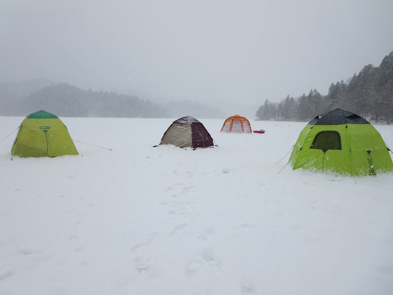 ファイル 29-1.jpg