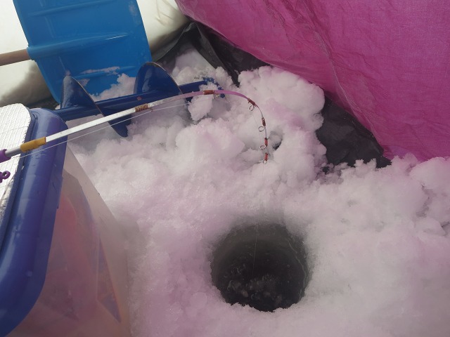 ファイル 30-8.jpg