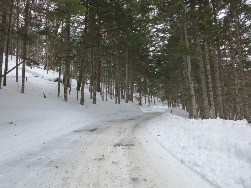 ファイル 32-2.jpg