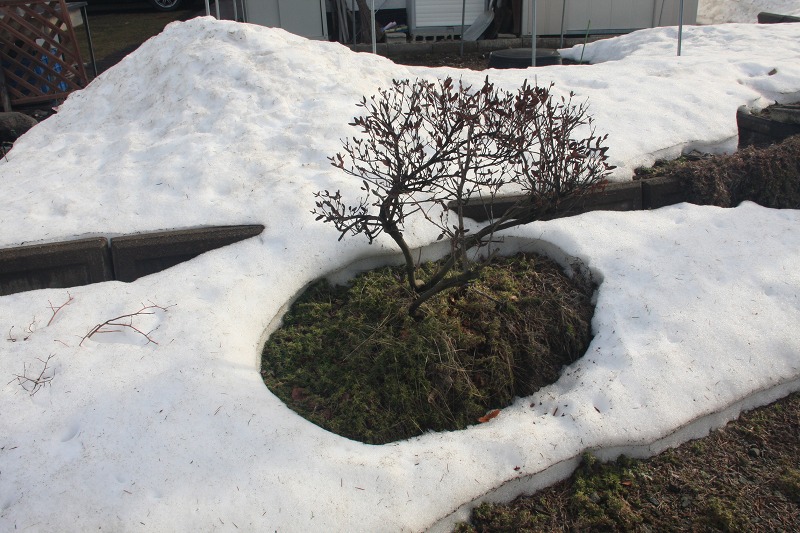 ファイル 33-1.jpg