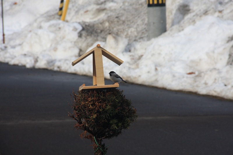 ファイル 33-2.jpg