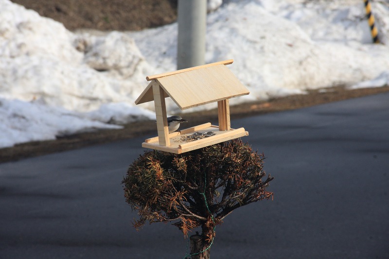 ファイル 33-3.jpg