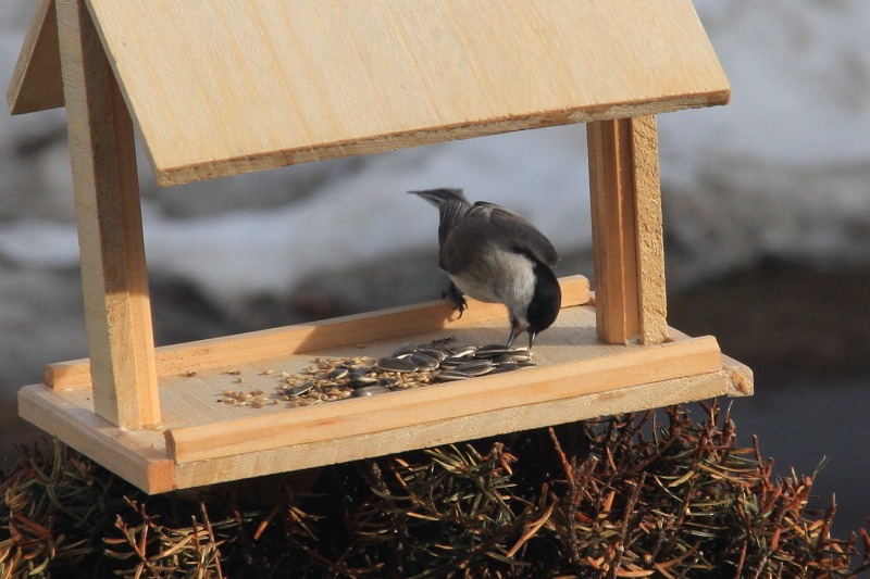 ファイル 33-4.jpg