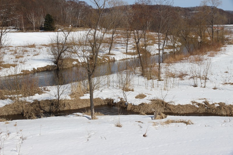 ファイル 33-5.jpg