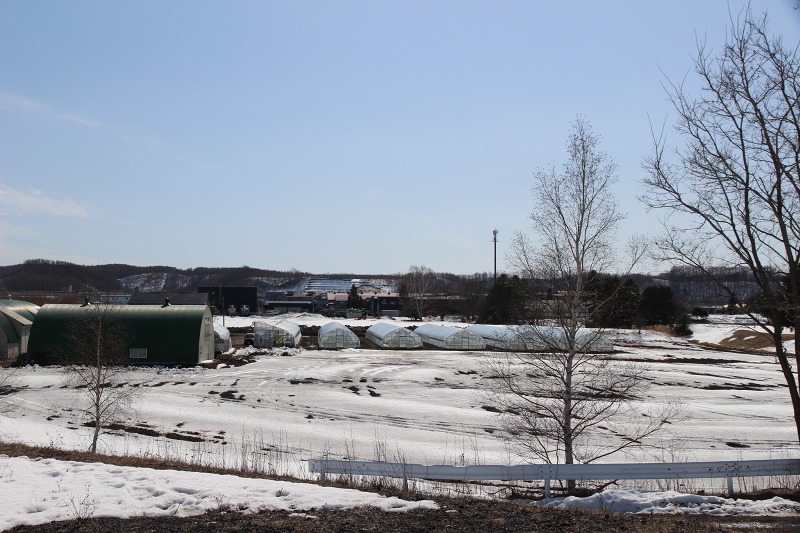 ファイル 33-6.jpg