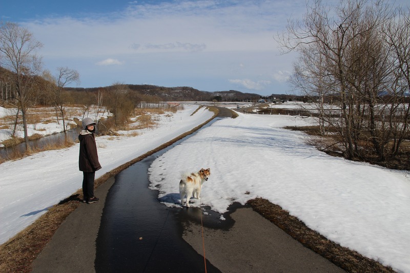 ファイル 33-7.jpg