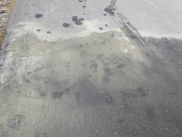 ファイル 36-3.jpg